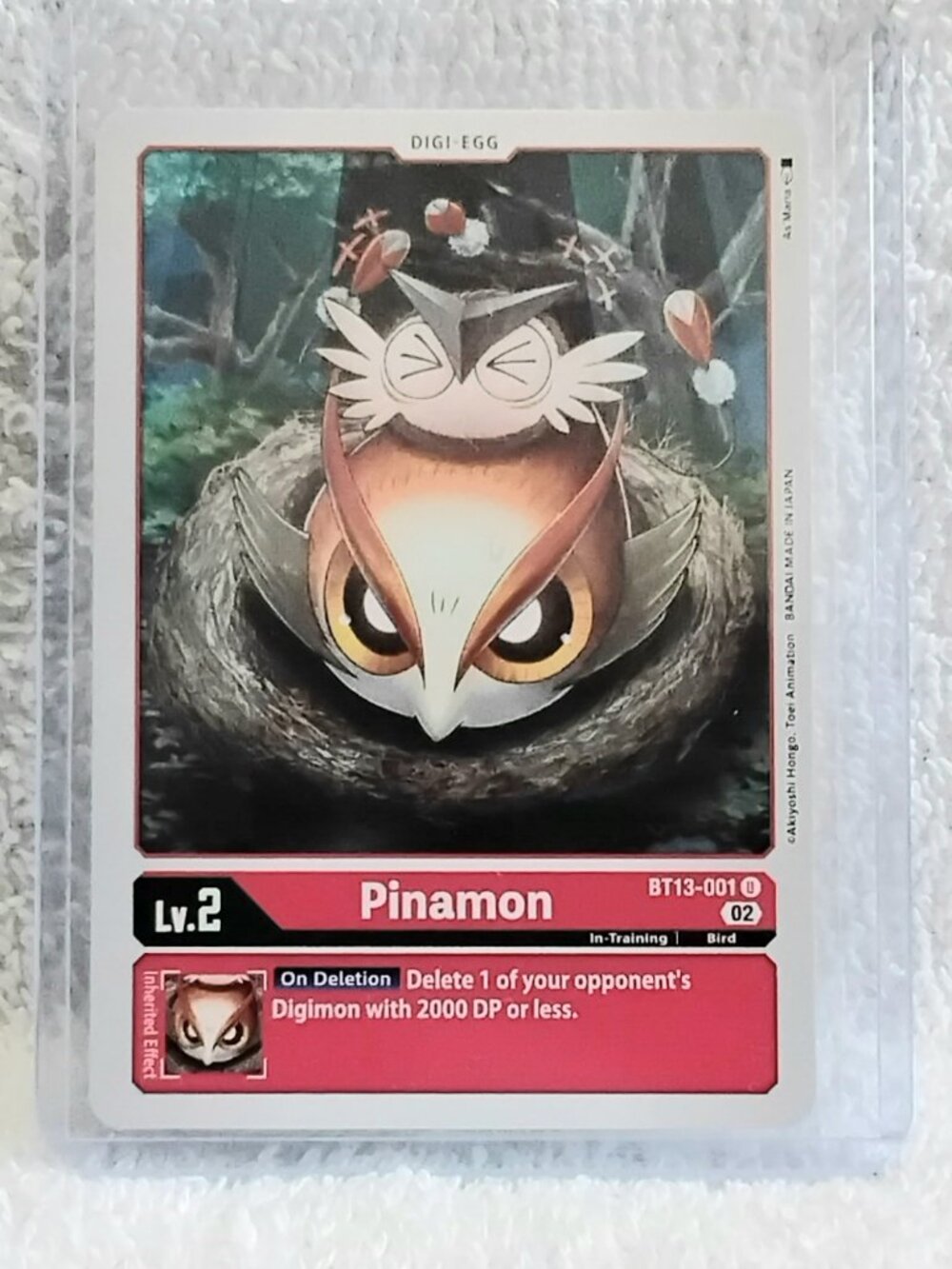 5/$20 Mint Digimon Pinamon Digi-Egg Card BT13-001 U by Bandai!!